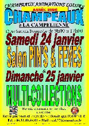 Salon Multi-collections &agrave; CHAMPEAUX (77) le 25/01/2026 - Champeaux