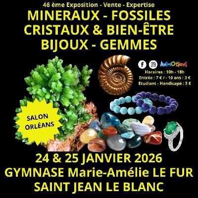 46&egrave;me Salon Min&eacute;raux Fossiles d'Orl&eacute;ans - Saint-Jean-le-Blanc