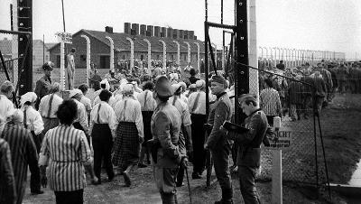 Conf&eacute;rence par Jo&euml;l Chapron &laquo; Une br&egrave;ve histoire du cin&eacute;ma polonais &raquo; - Lyon