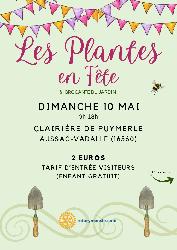 Les plantes en f&ecirc;te - Aussac-Vadalle