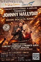 Une soir&eacute;e 2 concerts hommages&nbsp;: France GALL et Johnny HALLYDAY - Servon