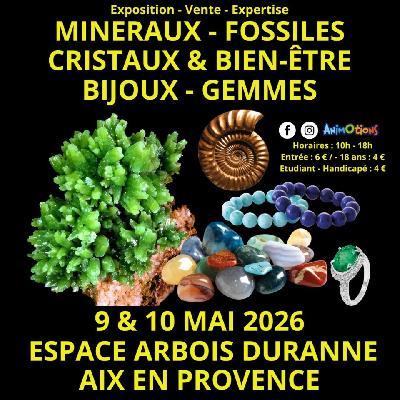 Salon Min&eacute;raux Fossiles Cristaux & Bien-&Ecirc;tre Bijoux et Gemmes d&rsquo;Aix  - Aix-en-Provence