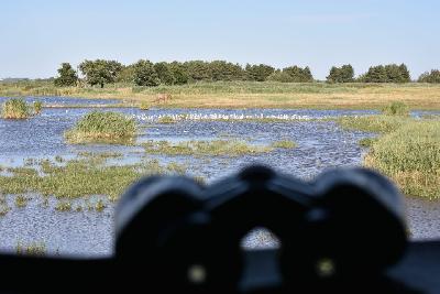 Samedi comptage - Braud-et-Saint-Louis