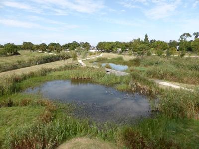 F&ecirc;te de la Biodiversit&eacute; - Braud-et-Saint-Louis
