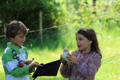 Dans la peau d'un bagueur - Braud-et-Saint-Louis