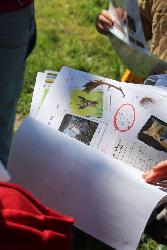 Enqu&ecirc;te au marais - Braud-et-Saint-Louis