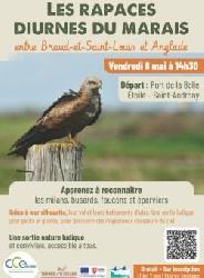 Sortie Natura 2000 sur les rapaces diurnes - Saint-Androny