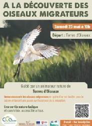 Sortie Natura 2000 sur les oiseaux migateurs - Braud-et-Saint-Louis