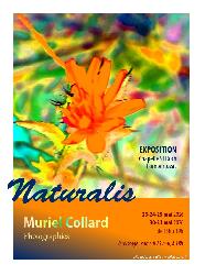 EXPOSITION de photographie "Naturalis", de Muriel Collard - Pompertuzat