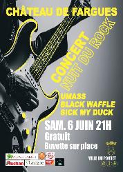 Nuit du Rock - Le Pontet