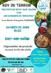Secrets de Scey-sur-Sa&ocirc;ne par les chemins de traverse - Scey-sur-Saône-et-Saint-Albin