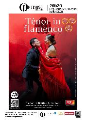 "T&eacute;nor in flamenco", LE show musical du Festival d'Avignon! - Avignon