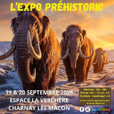 L&rsquo;Exposition Pr&eacute;historic - Charnay-lès-Mâcon
