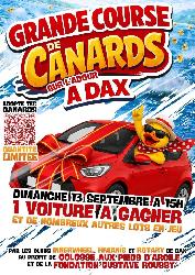 Course de canards sur l 'Adour - Dax