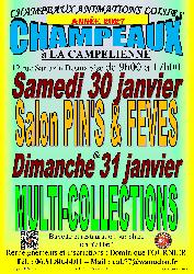 Salon Multi-collections &agrave; CHAMPEAUX (77) le 31/01/2027 - Champeaux