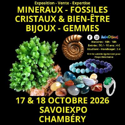 7&egrave;me Salon Min&eacute;raux Fossiles Bijoux et Gemmes  + Expo Dinomania - Chambéry