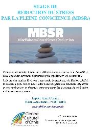 Stage de MBSR - Othis