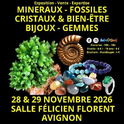 Salon Min&eacute;raux Fossiles Cristaux & Bien-&Ecirc;tre Gemmes Bijoux d&rsquo;Avignon - Avignon