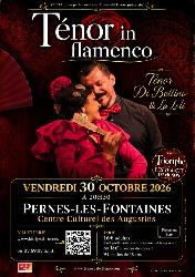 "T&eacute;nor in flamenco", le show musical n&deg;1 du Festival d'Avignon - Pernes-les-Fontaines
