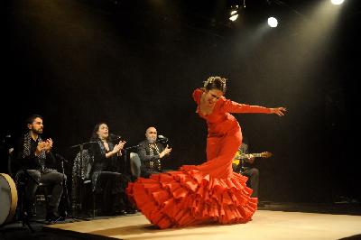Passion Flamenco - Meulan-en-Yvelines