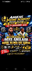 Stage de boxe anglaise par un champion d Europe  - Amiens