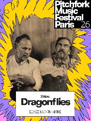 Dragonflies&nbsp;: concert &agrave; l&rsquo;Elys&eacute;e Montmartre - Pitchfork Music Festival - Paris