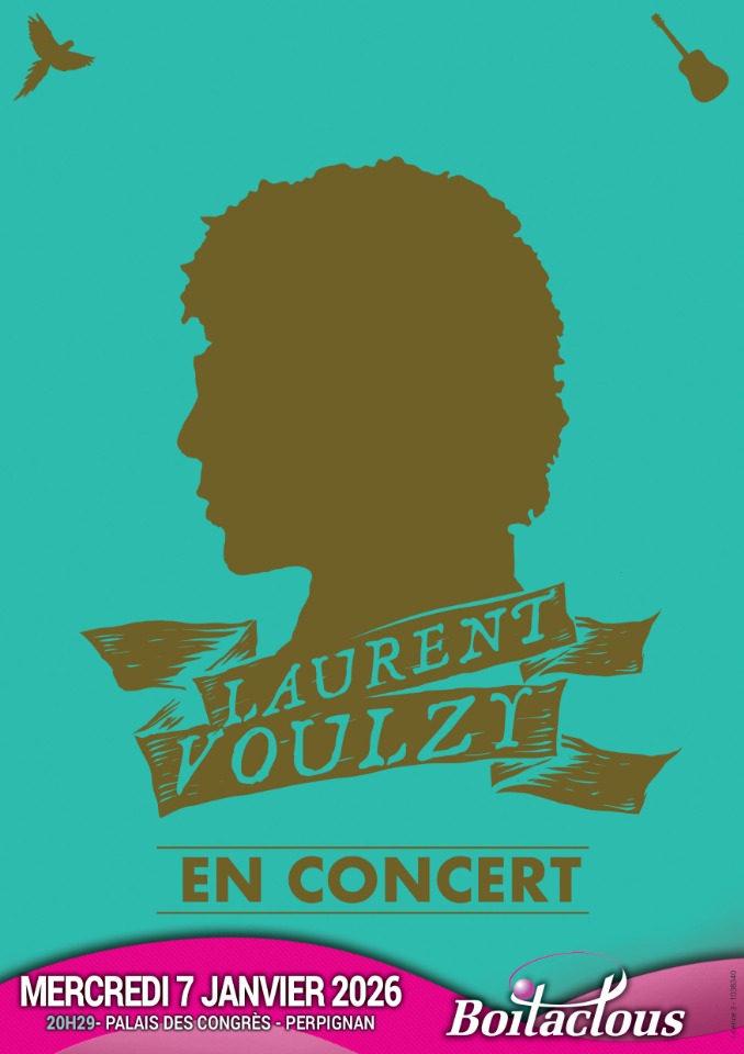 Laurent Voulzy - Perpignan