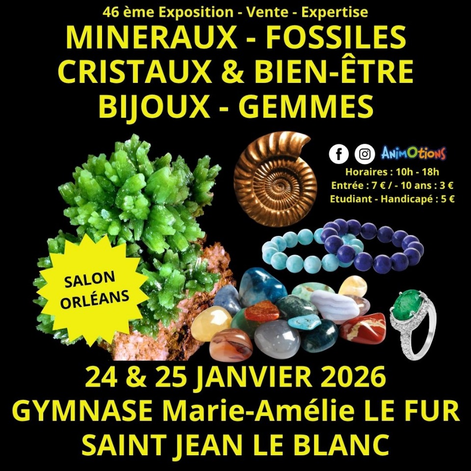 46&egrave;me Salon Min&eacute;raux Fossiles d'Orl&eacute;ans - Saint-Jean-le-Blanc