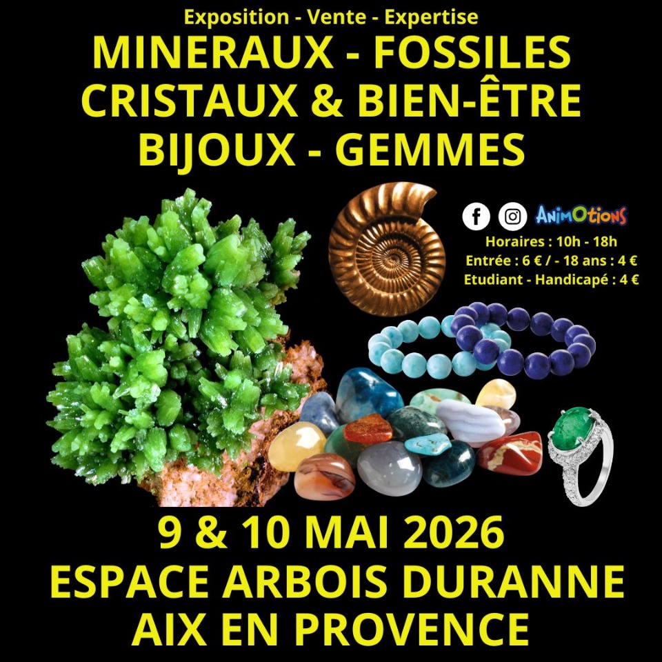 Salon Min&eacute;raux Fossiles Cristaux & Bien-&Ecirc;tre Bijoux et Gemmes d&rsquo;Aix  - Aix-en-Provence