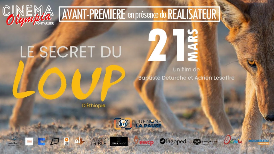 le Secret du Loup d'Ethiopie - Echange avec le R&eacute;alisateur - Pontarlier