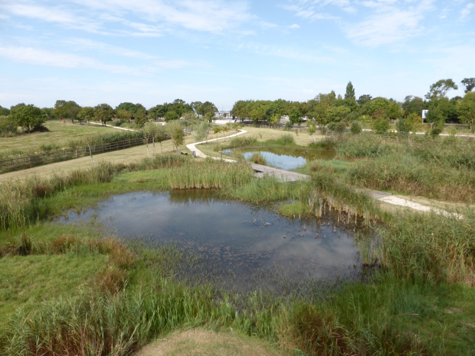 F&ecirc;te de la Biodiversit&eacute; - Braud-et-Saint-Louis