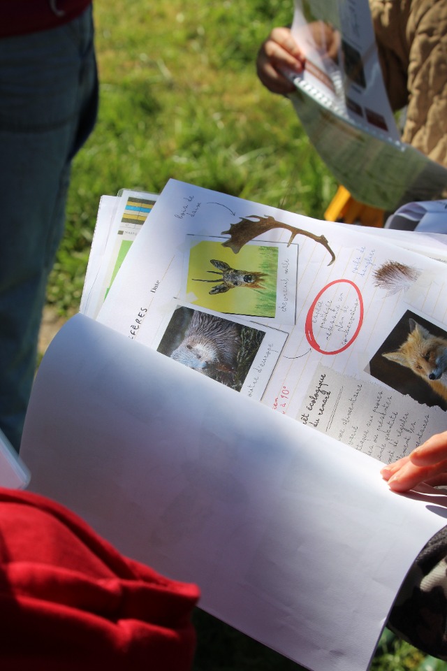 Enqu&ecirc;te au marais - Braud-et-Saint-Louis
