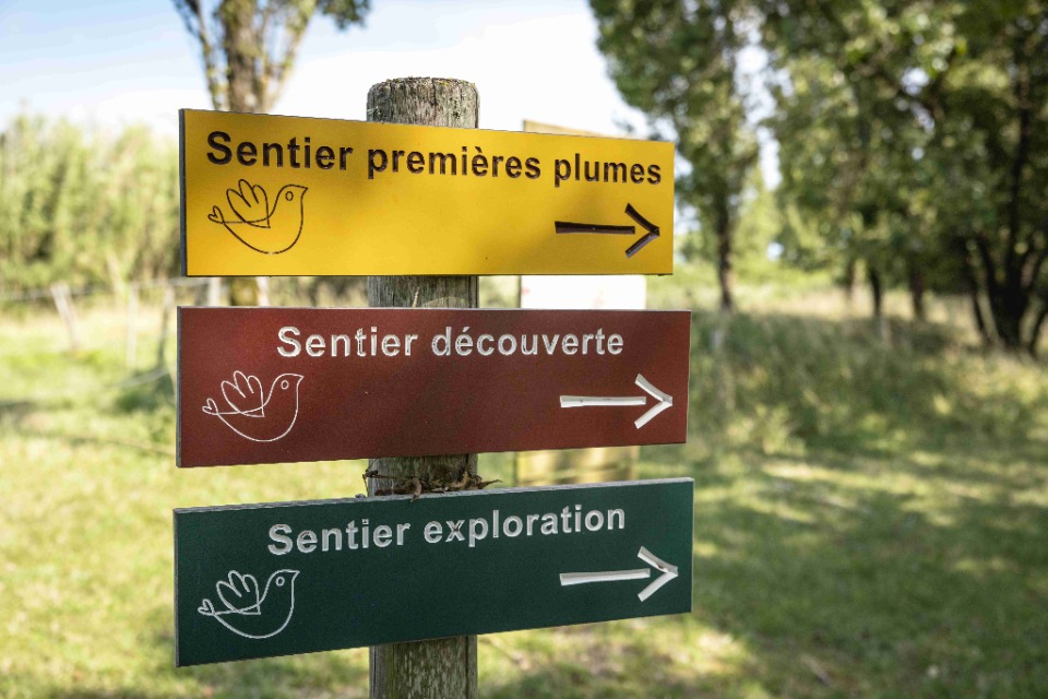 F&ecirc;te de la nature - Braud-et-Saint-Louis