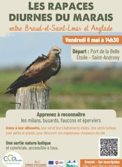 Sortie Natura 2000 sur les rapaces diurnes - Saint-Androny