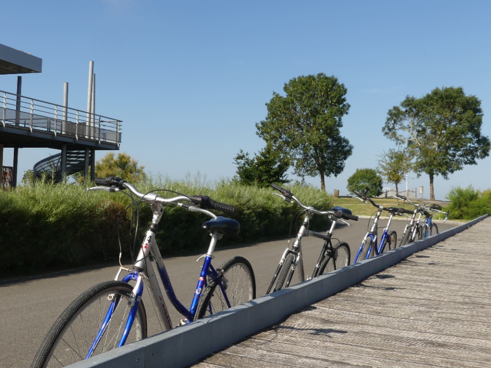 Sortie v&eacute;lo - Braud-et-Saint-Louis