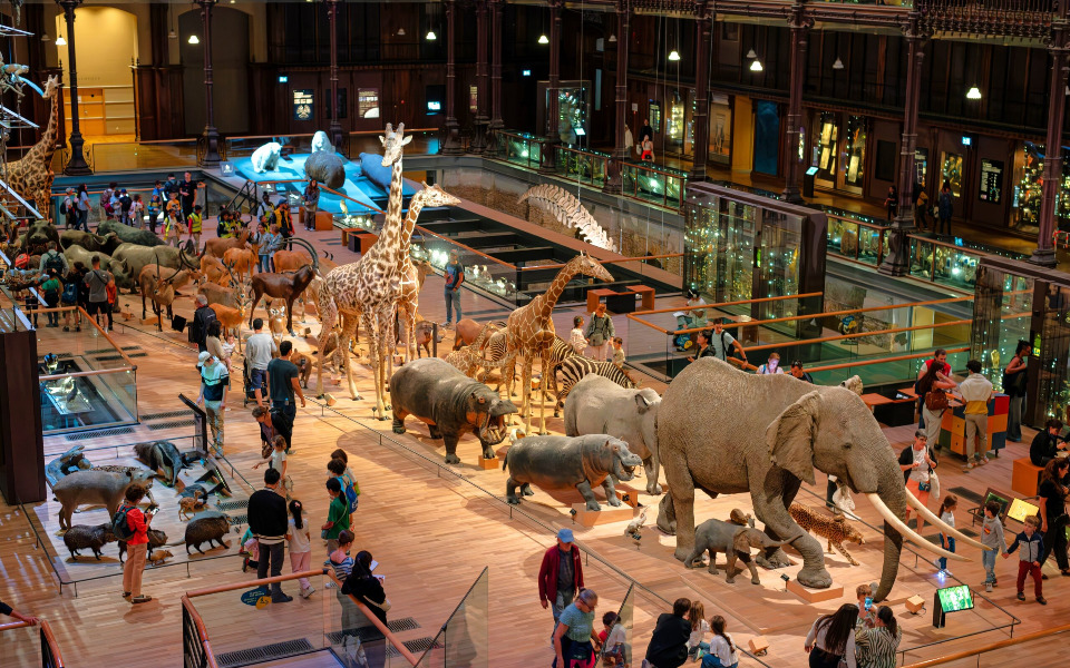  Voyage extraordinaire &agrave; la Galerie de l&rsquo;&Eacute;volution  - Paris