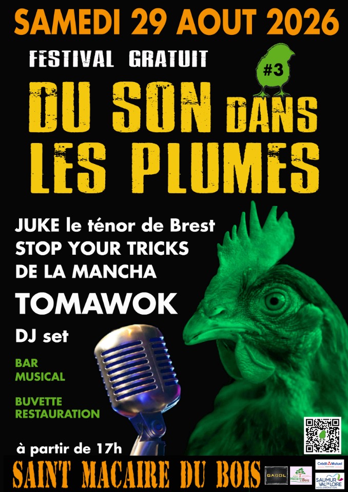 Du SON dans les PLUMES - Festival de musiques GRATUIT - Saint-Macaire-du-Bois