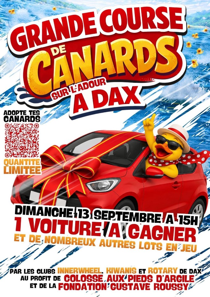 Course de canards sur l 'Adour - Dax