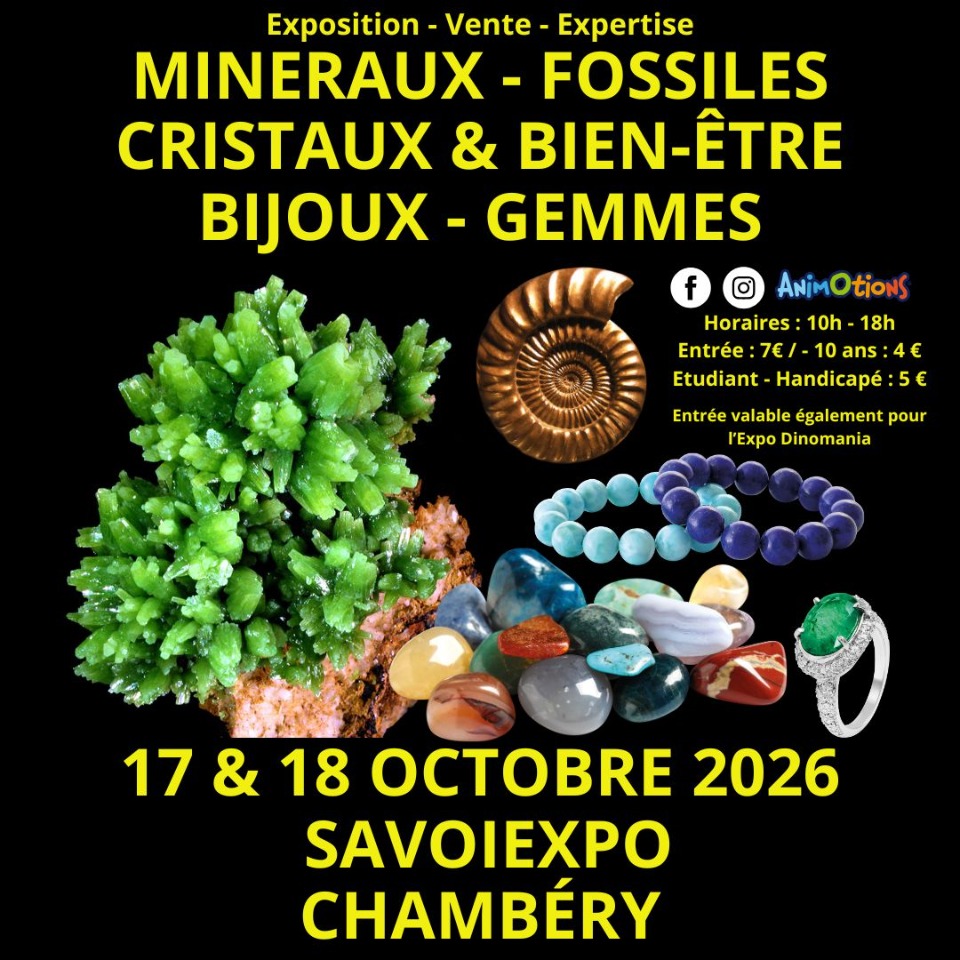 7&egrave;me Salon Min&eacute;raux Fossiles Bijoux et Gemmes  + Expo Dinomania - Chambéry