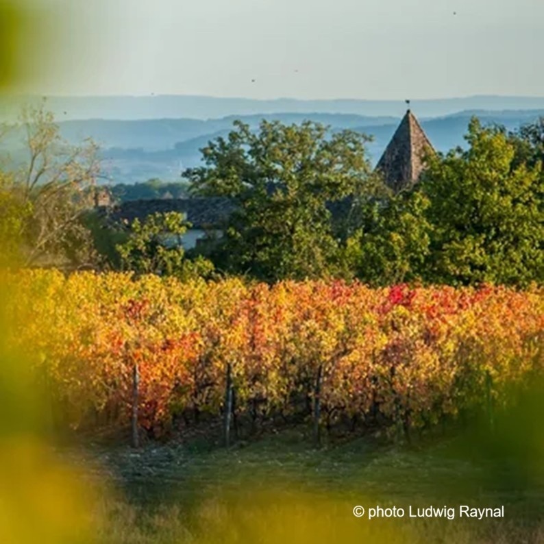 27&egrave;me &eacute;dition Ronde du Gaillac Primeur&reg; - Cahuzac-sur-Vère