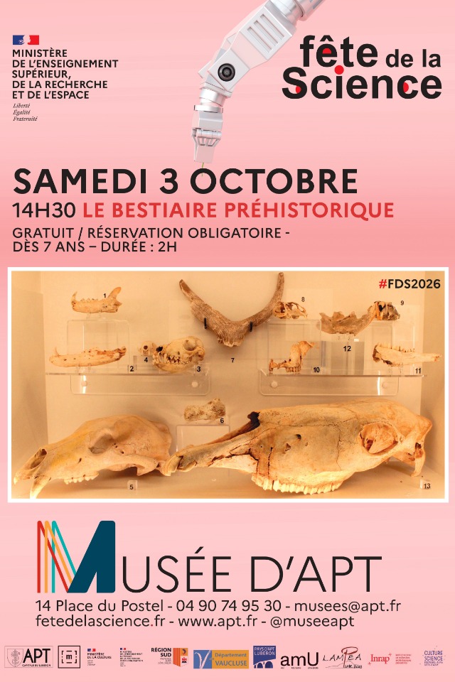 Le bestiaire pr&eacute;historique - Apt