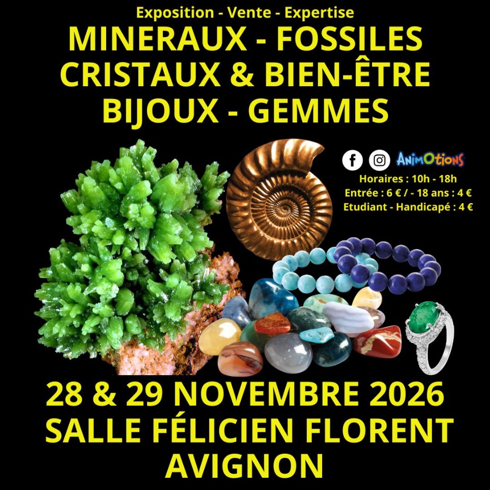 Salon Min&eacute;raux Fossiles Cristaux & Bien-&Ecirc;tre Gemmes Bijoux d&rsquo;Avignon - Avignon