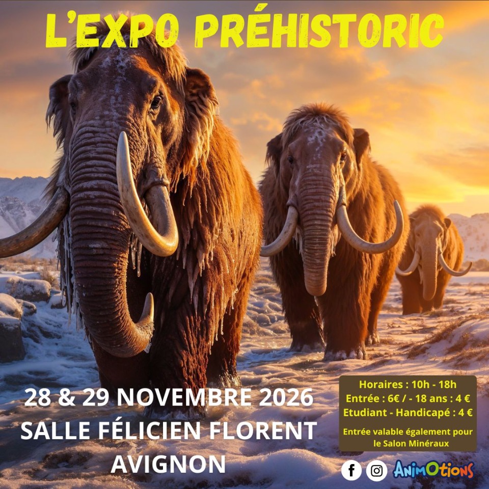 L&rsquo;Exposition Pr&eacute;historic - Avignon