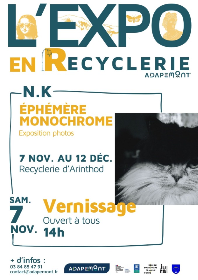 "&Eacute;ph&eacute;m&egrave;re monochrome" par N.K - L'Expo en Recyclerie - Arinthod