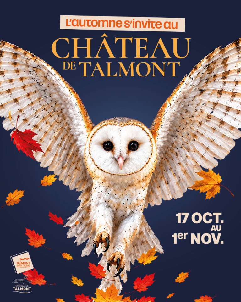 Visites guid&eacute;es du Ch&acirc;teau - Talmont-Saint-Hilaire