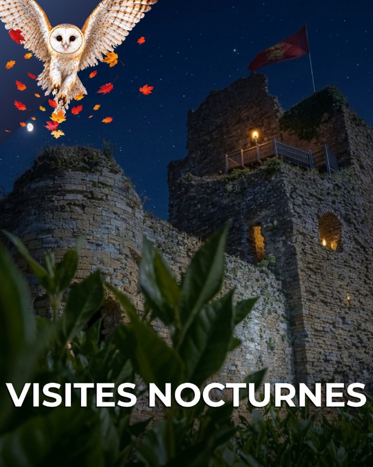 Un Ch&acirc;teau sous les &eacute;toiles - Talmont-Saint-Hilaire