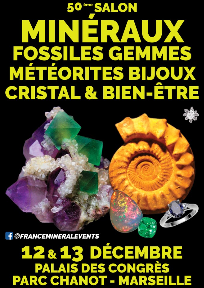50&egrave;me Salon des Min&eacute;raux de Marseille - Marseille